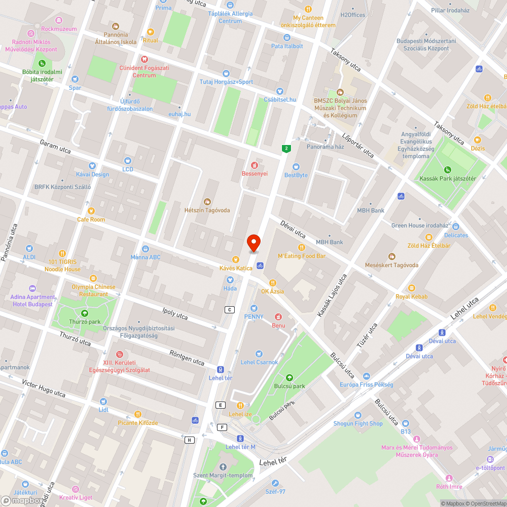 El nem takarított lombhulladék és egyéb szemét. bejelentés helye