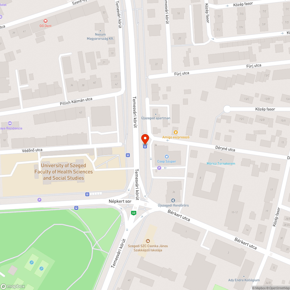 Leszakadt szemetes - Szent-Györgyi albert u. 67., Híd, buszmegálló bejelentés helye