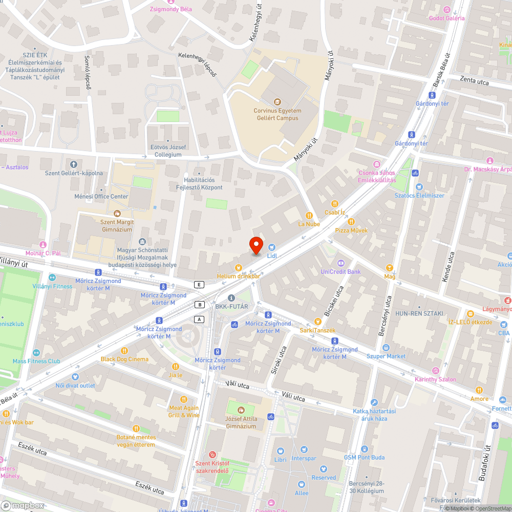 üres fahely bokorral - Bartók bejelentés helye