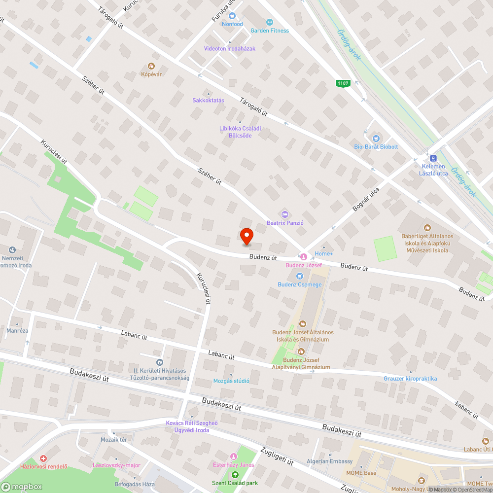 Levélszőnyeg, elhanyagolt környezet bejelentés helye