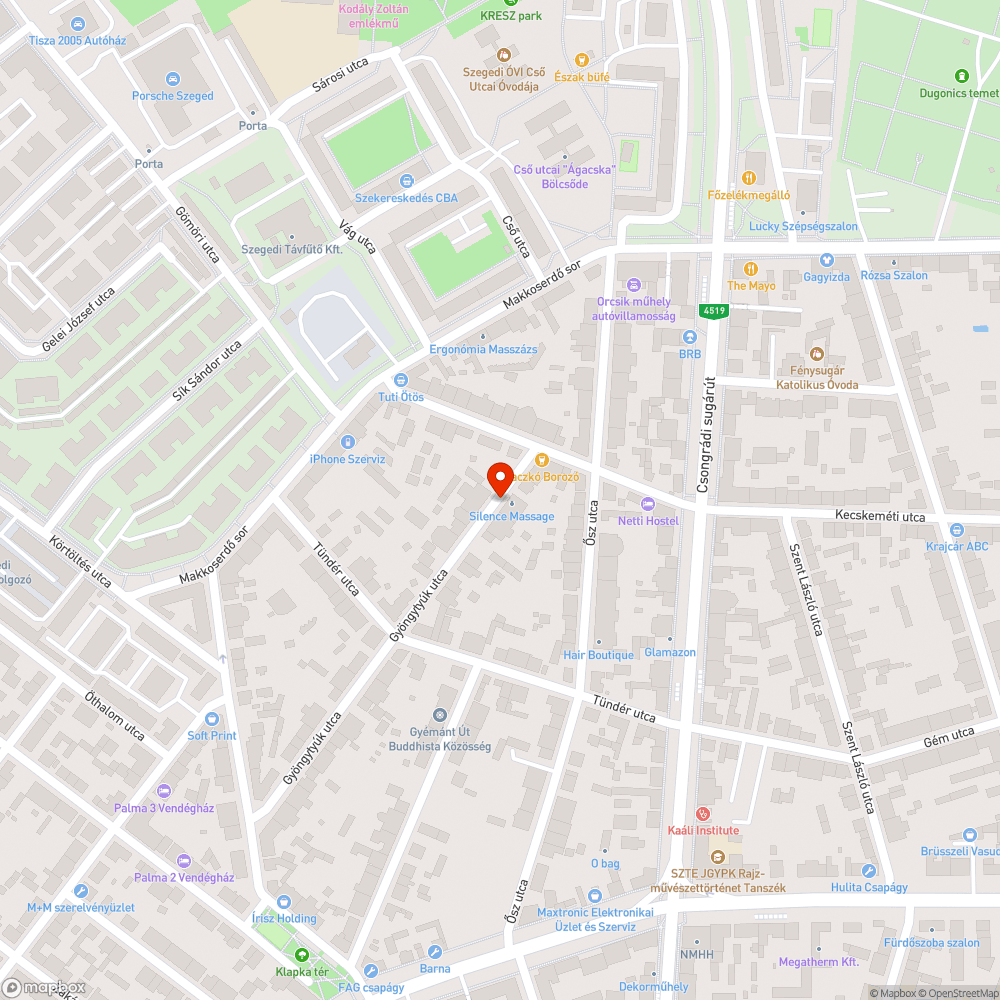 Kátyúk a Gyöngytyúk utcában bejelentés helye