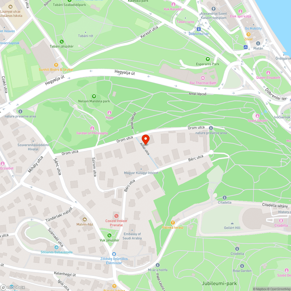 Légvezetékre esett nagy letört ág bejelentés helye