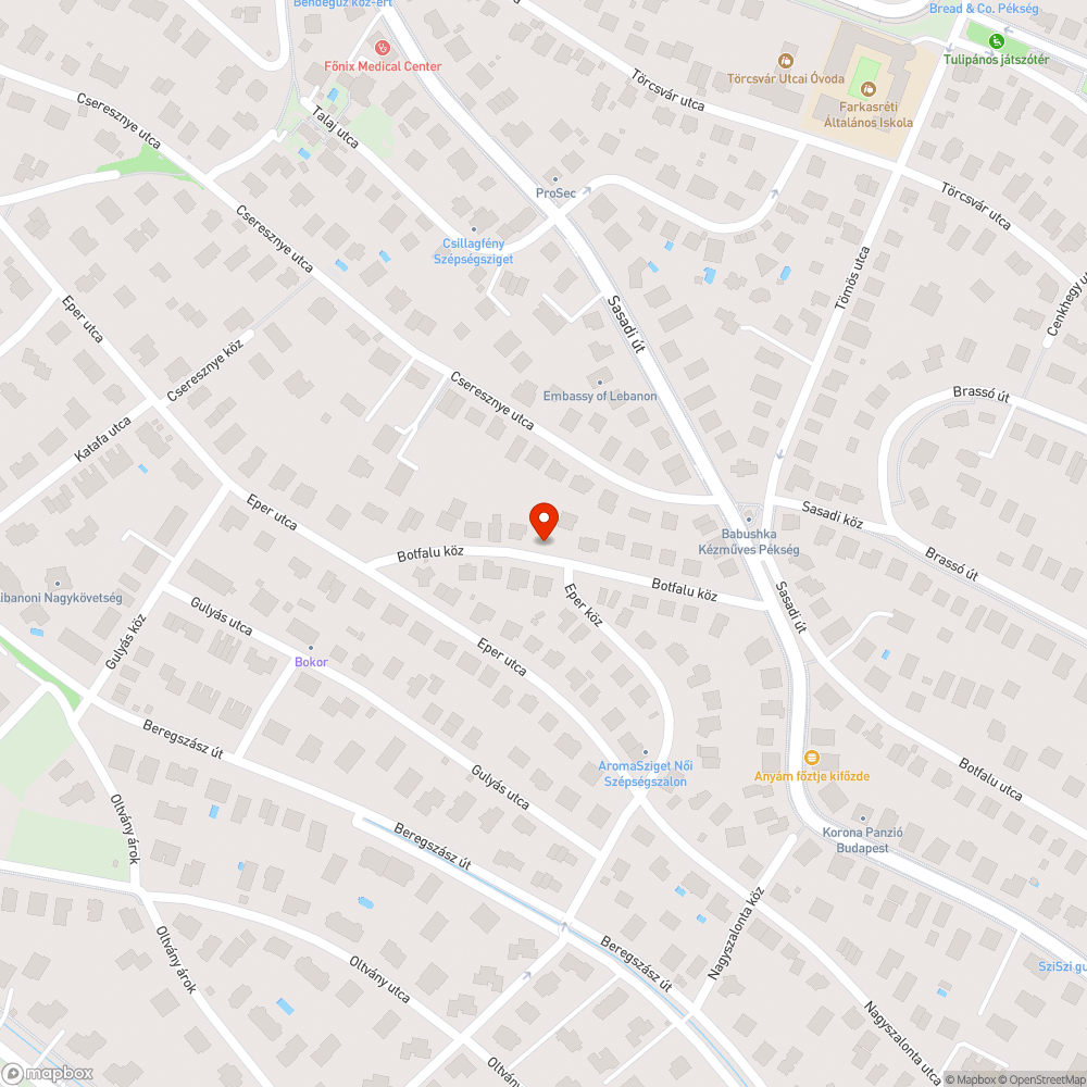 Gázszag az utcán bejelentés helye