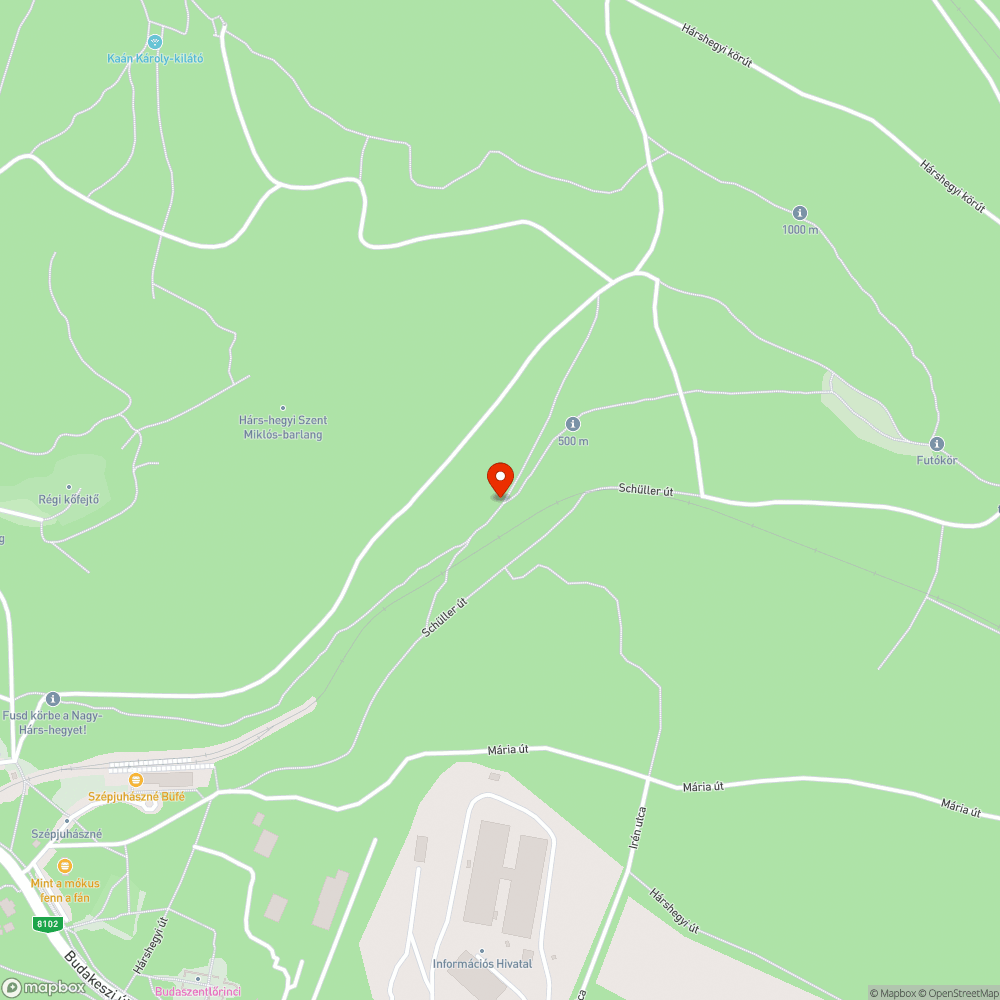 Kidőlt fa a Hárshegyi futókörön bejelentés helye