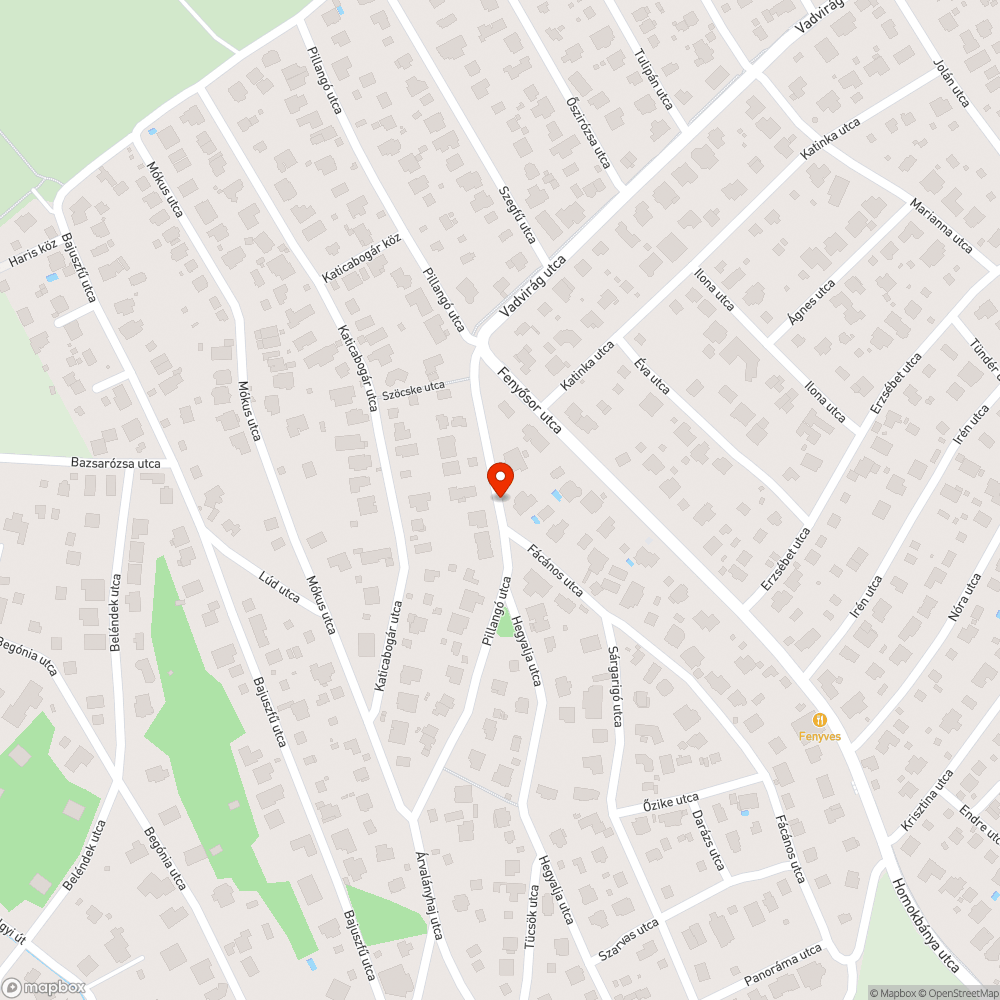 Pillangó utca csőtörés utáni helyreállítása bejelentés helye