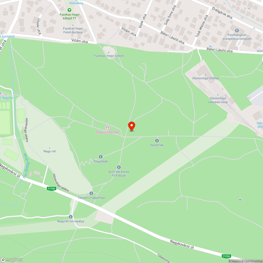 Kidőlt fák a Nagy-rét mögött a kéken bejelentés helye