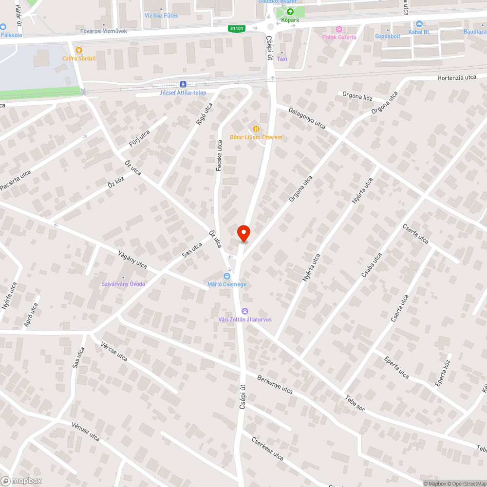 Útszéli, vízzel teli kátyú bejelentés helye