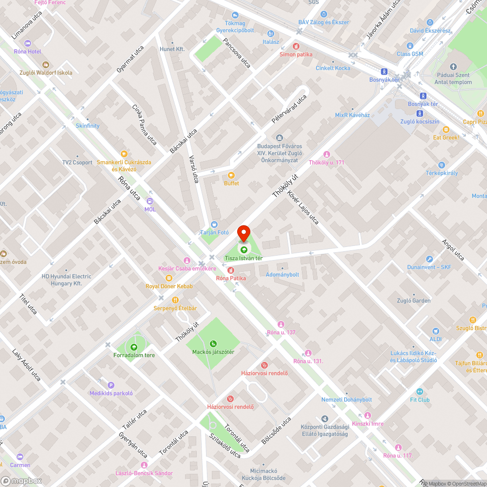 Tisza István szobor megvilágítása bejelentés helye