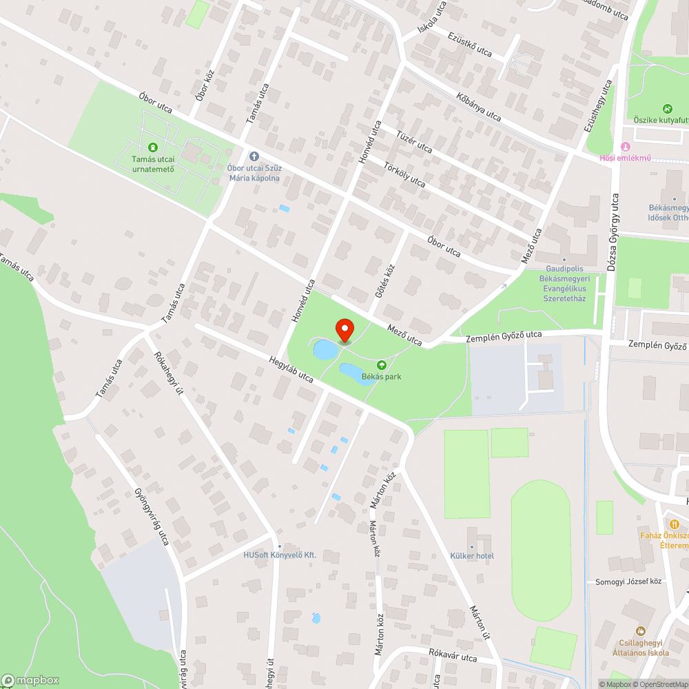 Büdös, fura színű víz bejelentés helye