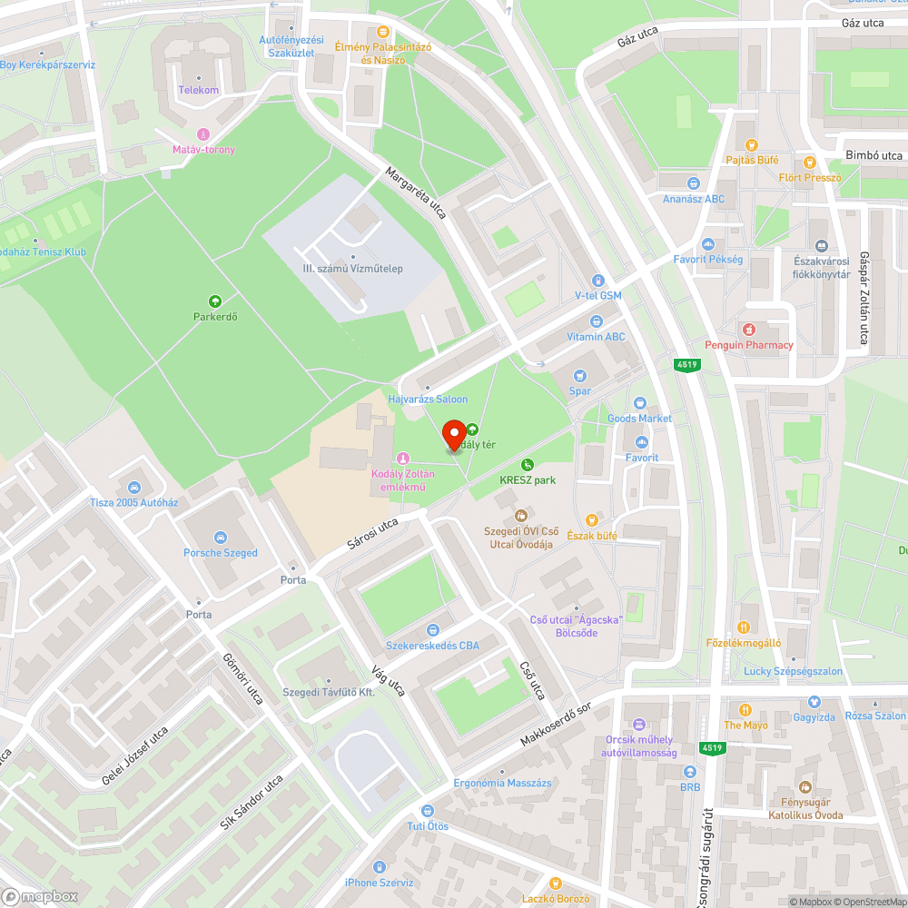 Nincs leaszfaltozva bejelentés helye