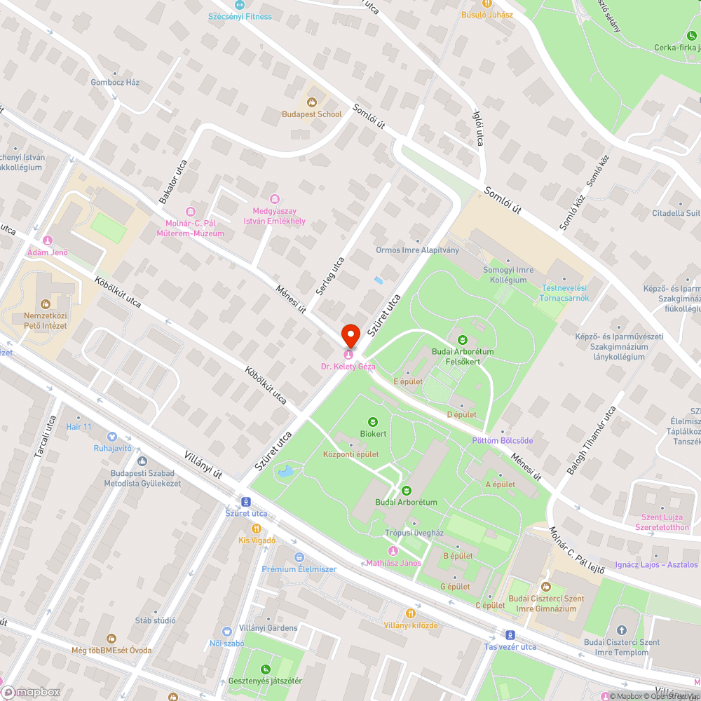 Kidőlt, fának támaszkodó közlekedési jelzőtábla bejelentés helye