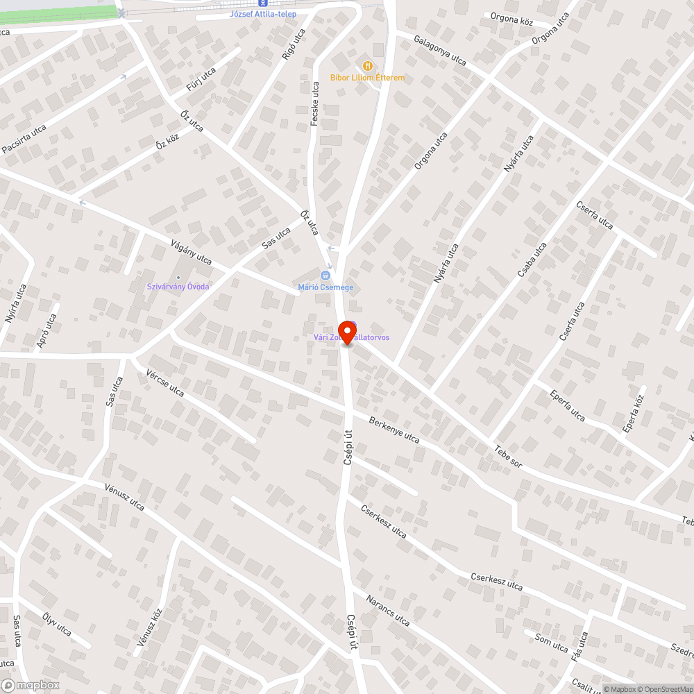 Szemét a buszmegállónál bejelentés helye