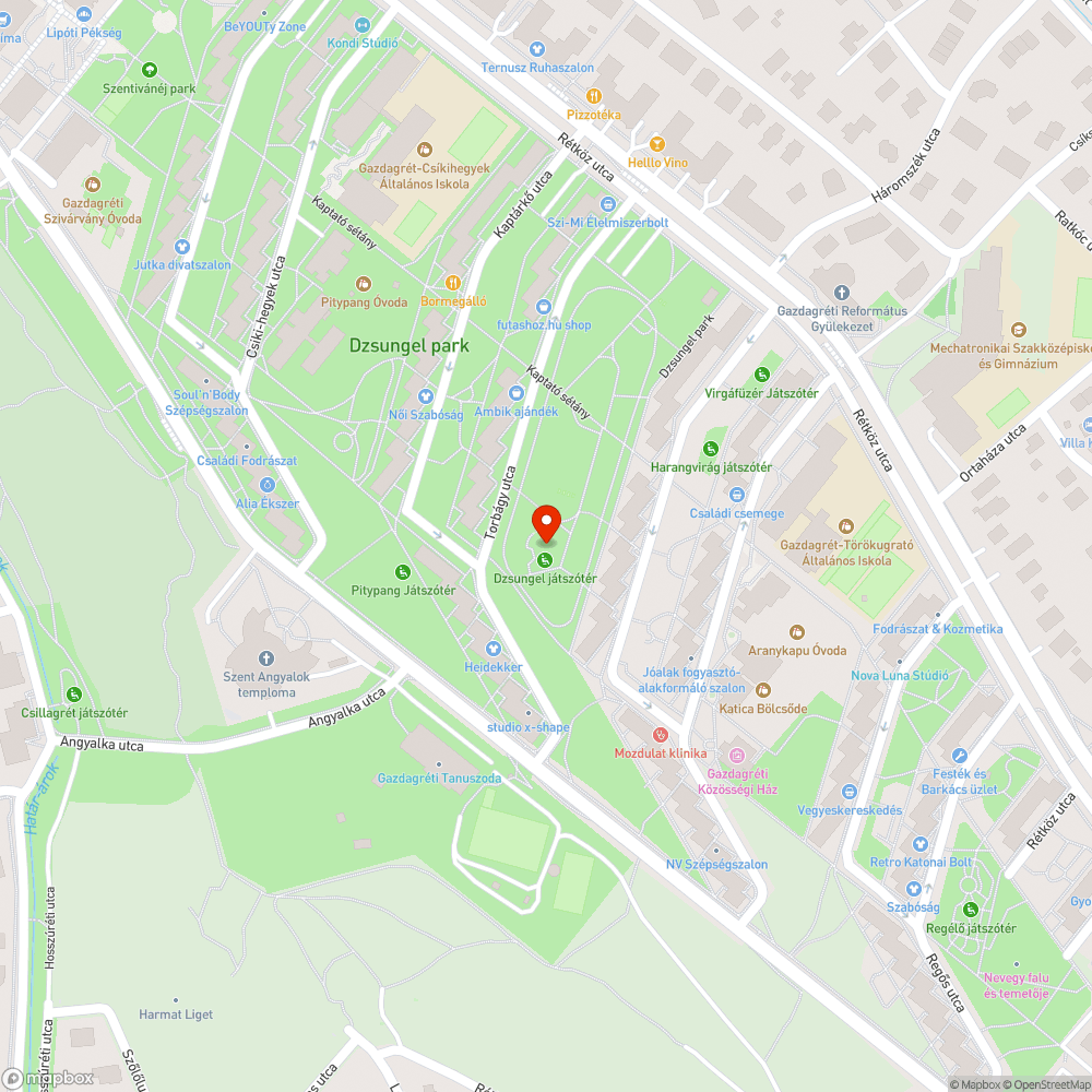 Sáros falevelek és pocsolyák a Dzsungel játszótéren bejelentés helye