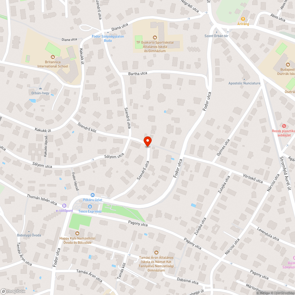 Kiszáradt fa bejelentés helye