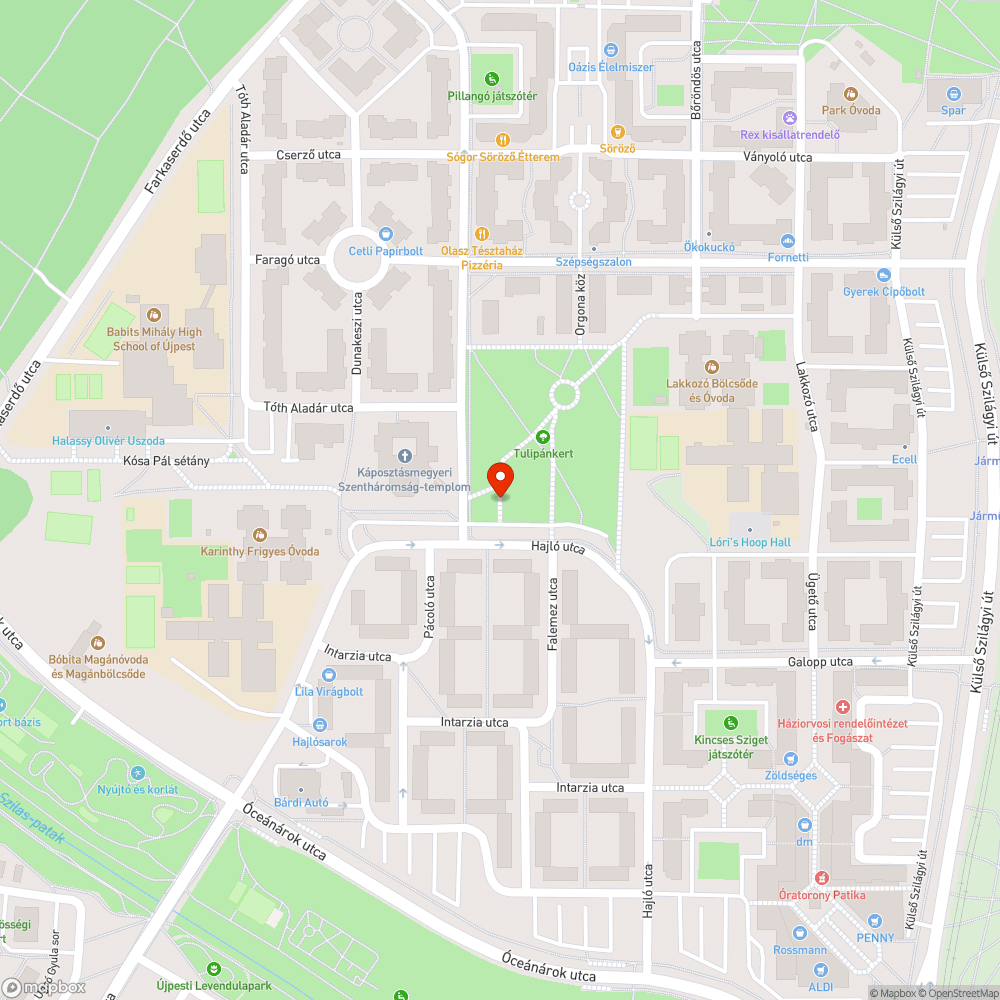 Elhagyott Opel bejelentés helye