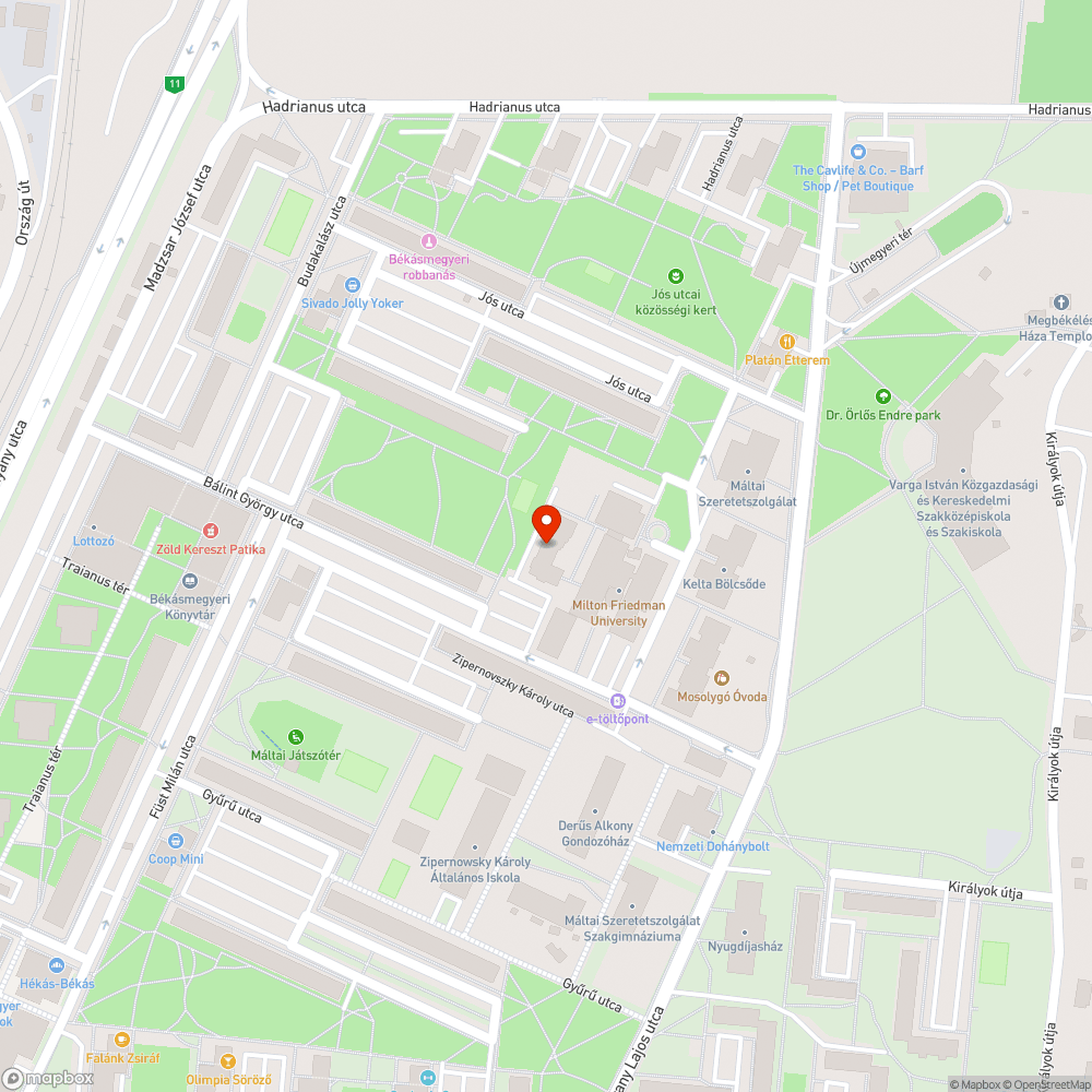 Óriáspocsolya az egyetem előtt bejelentés helye