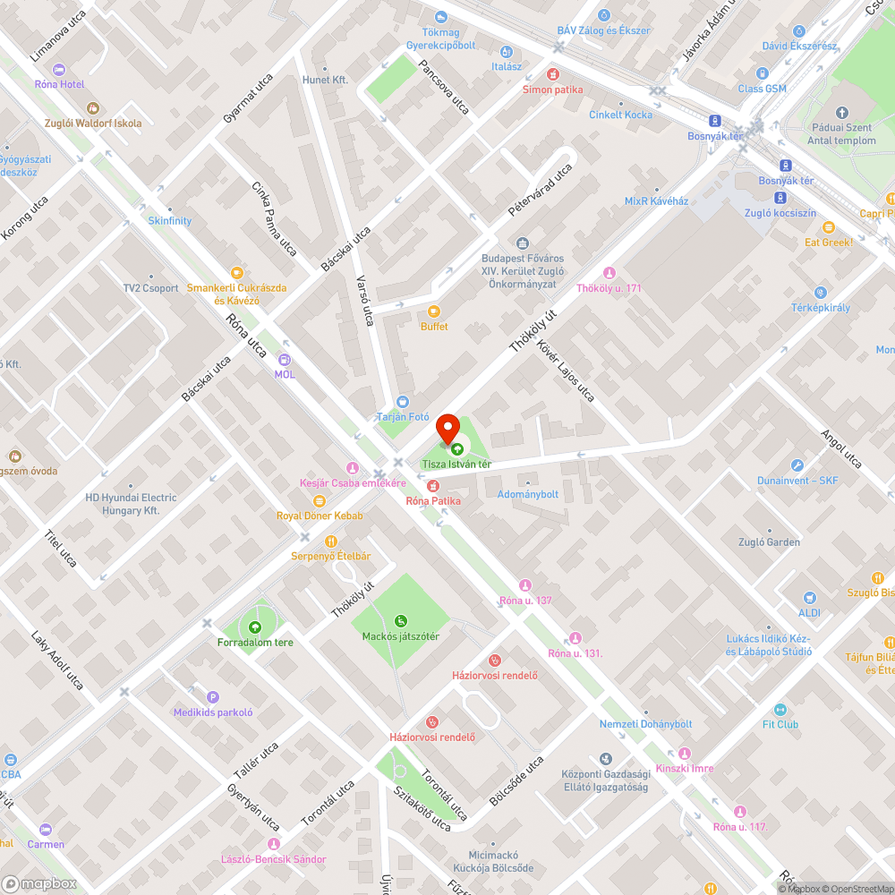 Karácsonyfák februárban Tisza István téren bejelentés helye