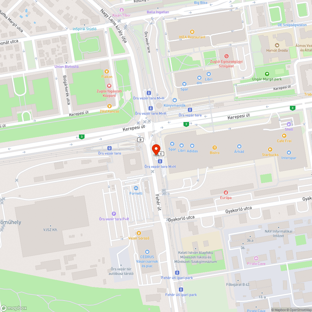 Eltűnt szemetes, botlásveszély bejelentés helye