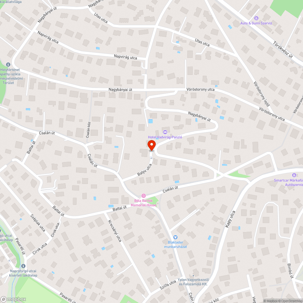 Kátyú a Batyu utca alsó szakaszán bejelentés helye