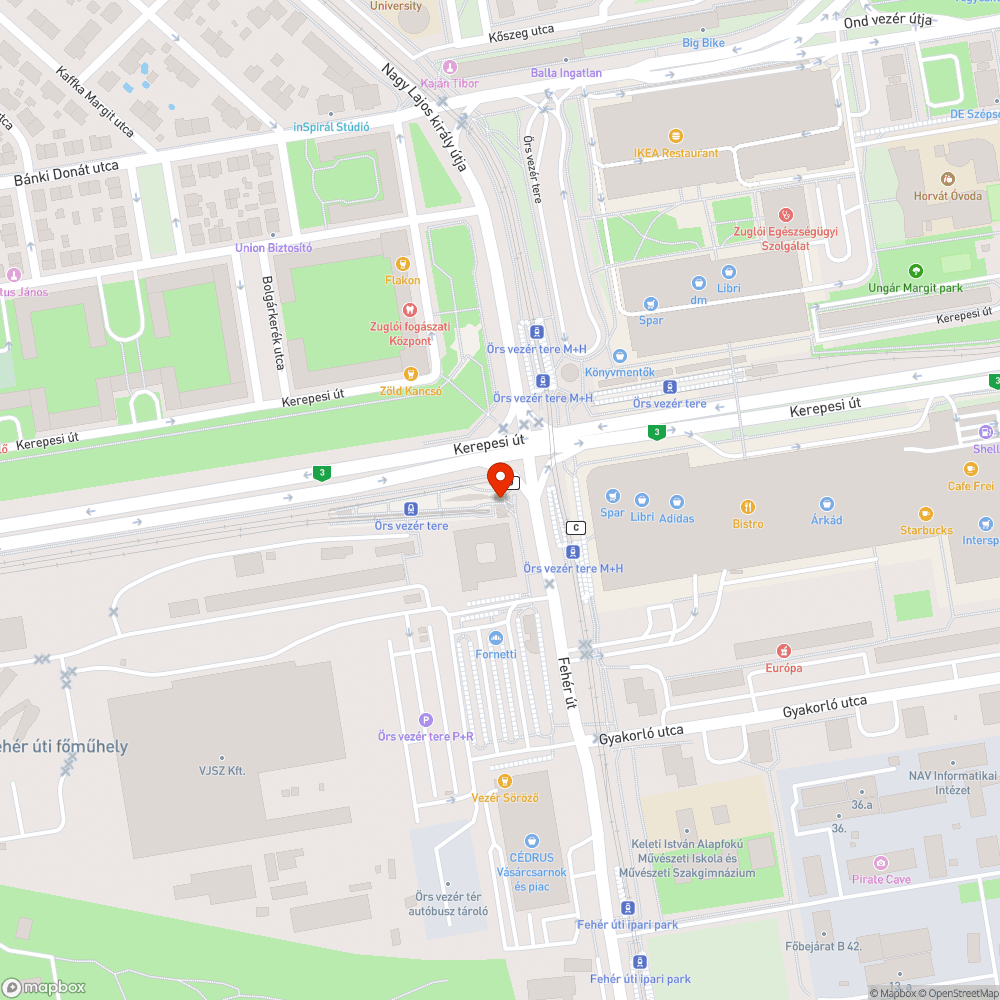 Csurig teli szemetesek bejelentés helye