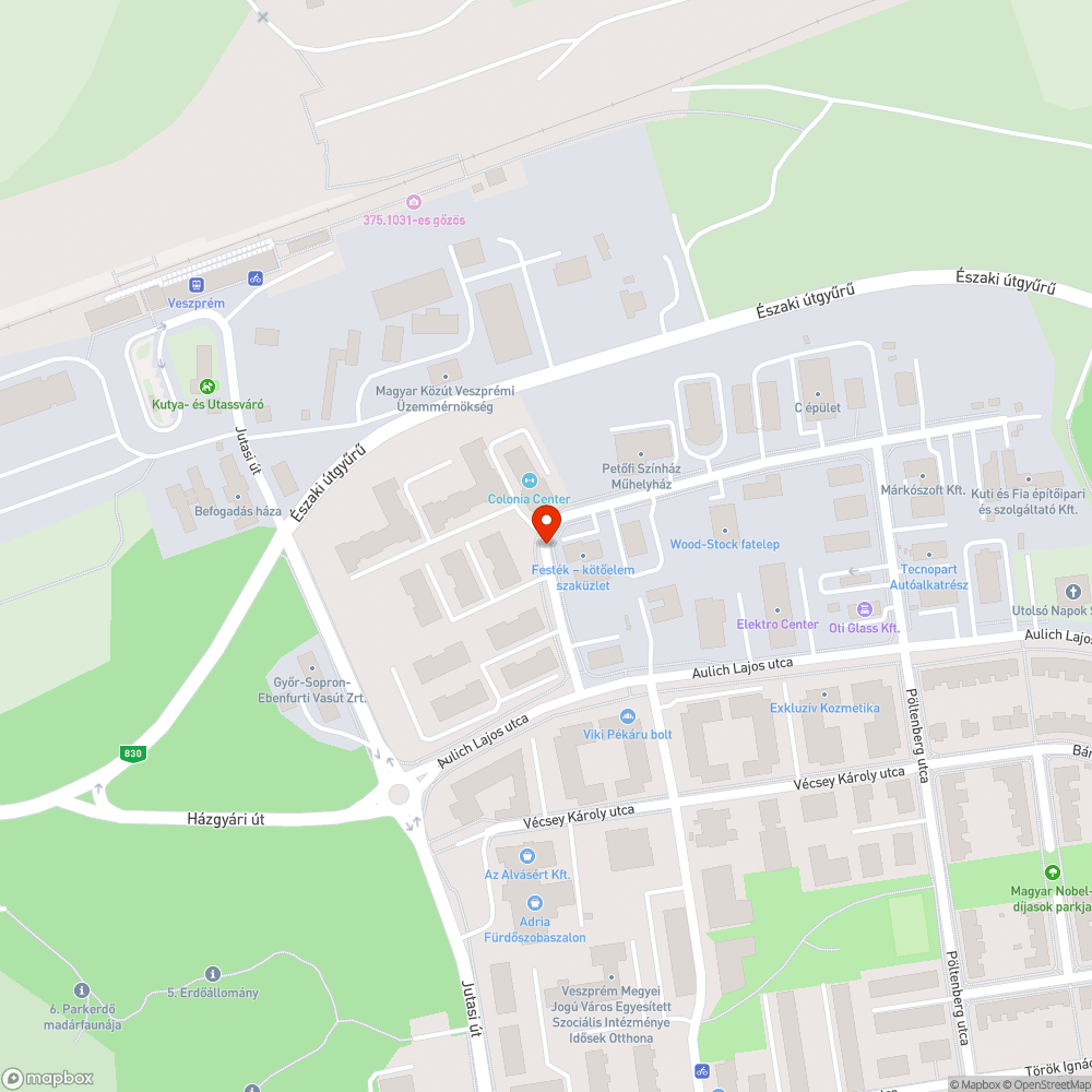 Defekt gyűjtő kátyú bejelentés helye