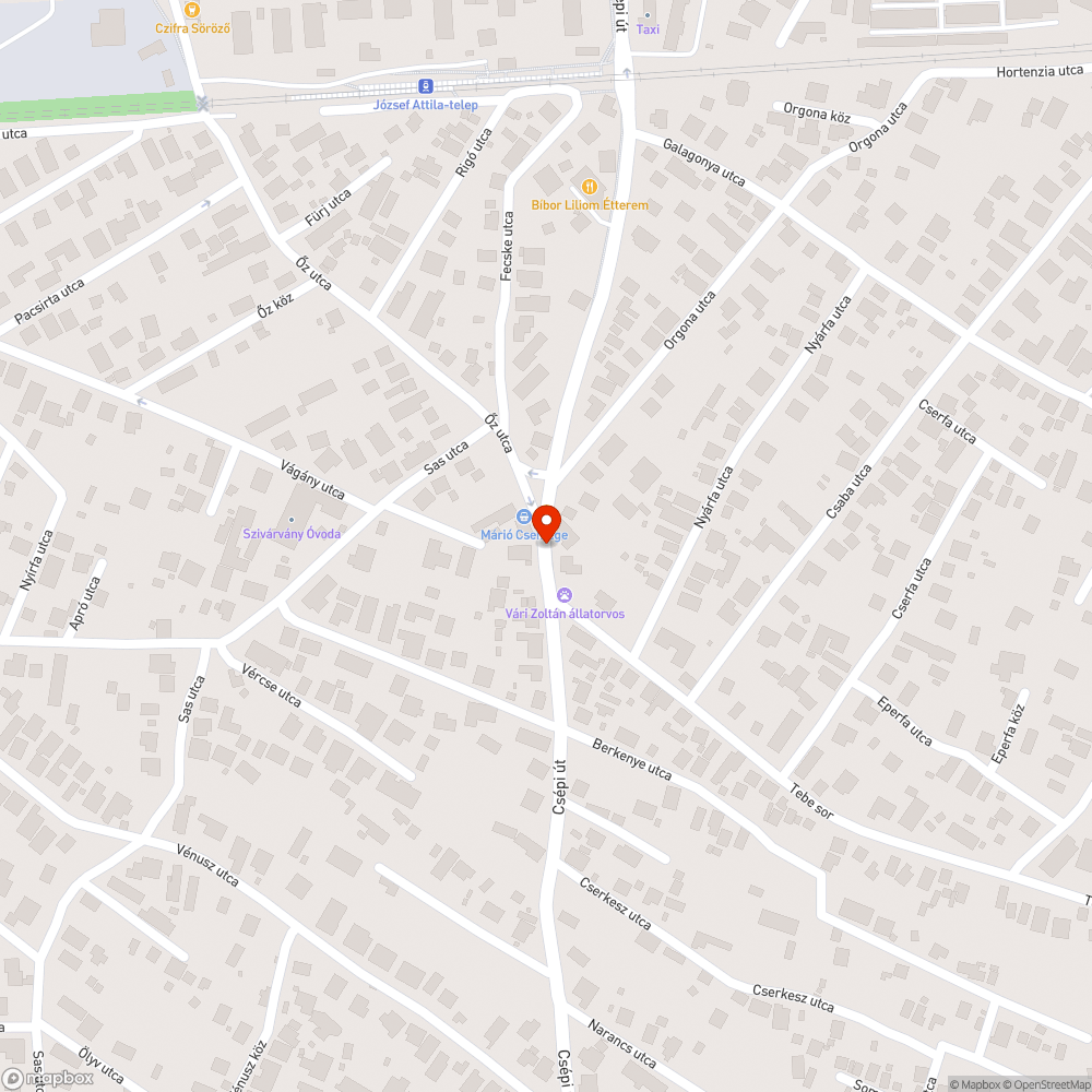 Fekália a járda mellett bejelentés helye