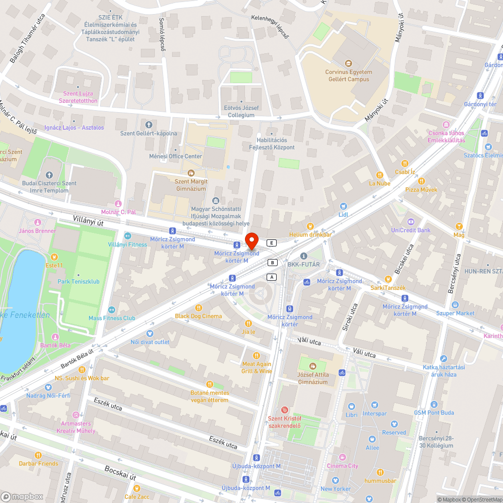 Gondozatlan virágtartók a Móricz Zsigmond körtéren bejelentés helye