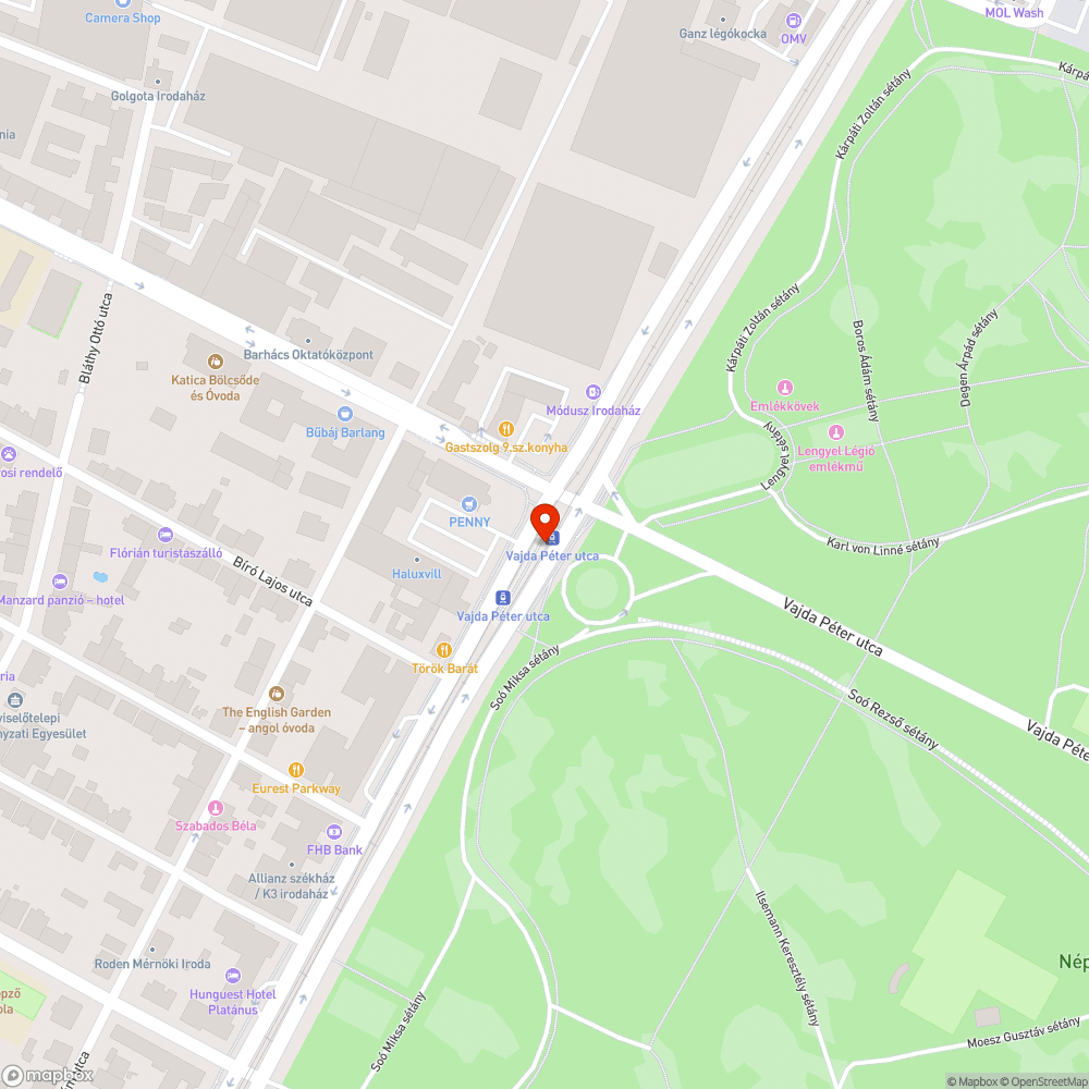 Nagyon szemetes a zöldterület a megálló mellett bejelentés helye