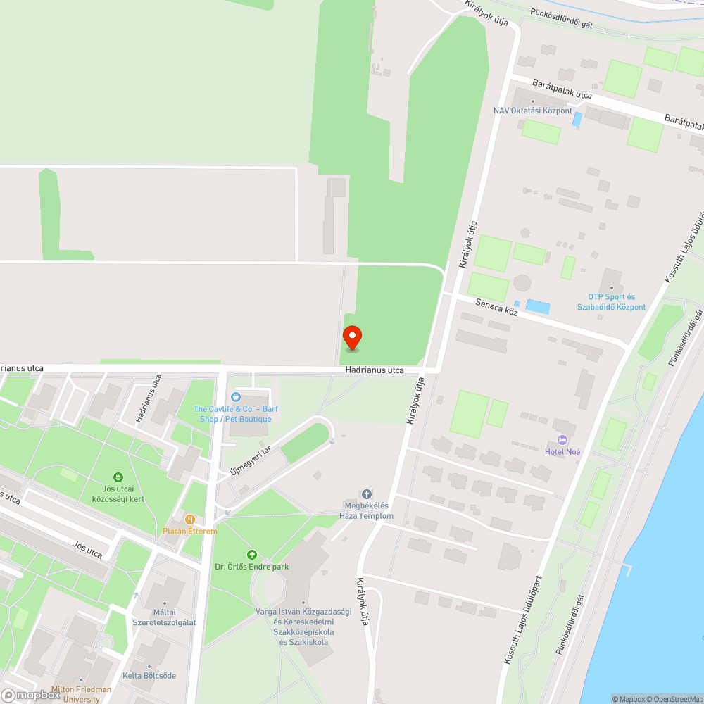 Leszakadt faág bejelentés helye