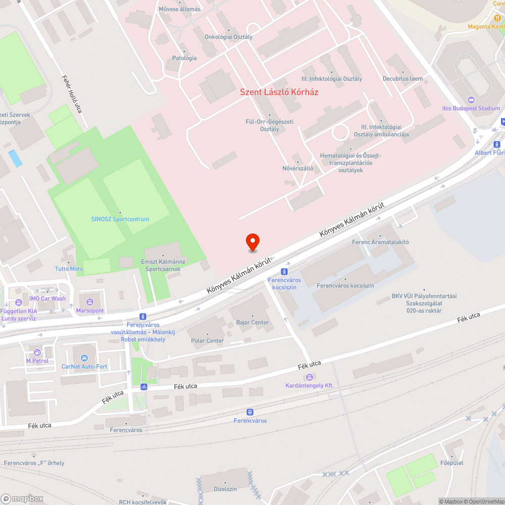 Erősen szemetes járda, zöldterület bejelentés helye