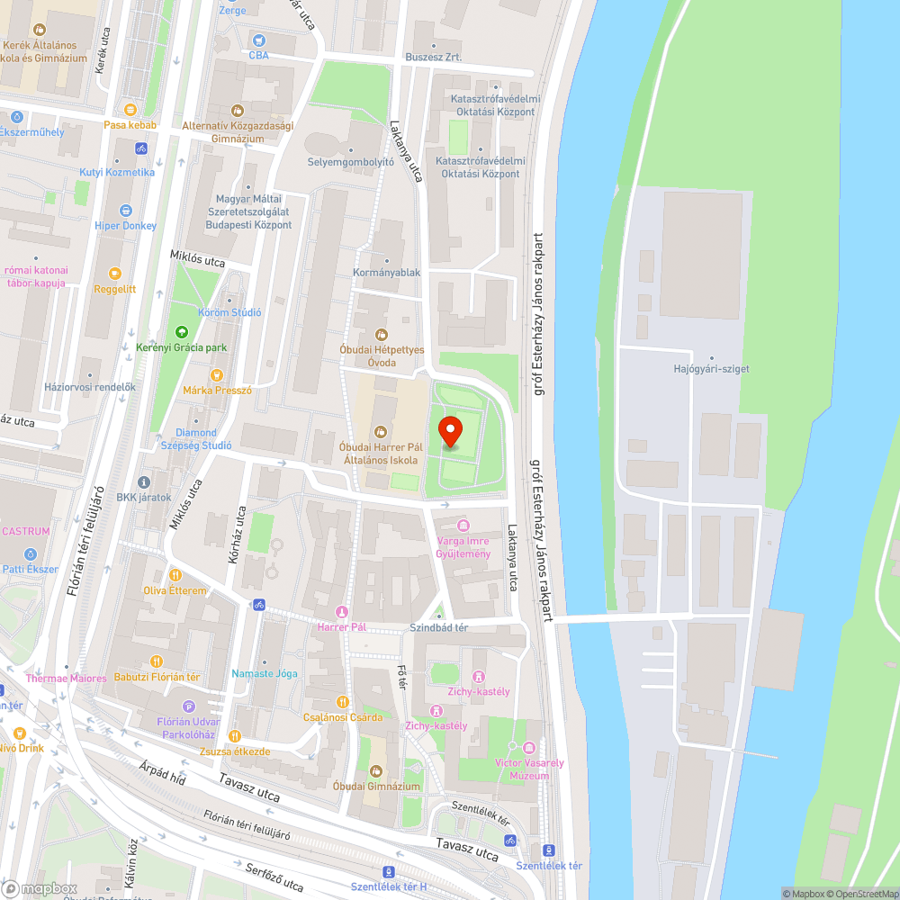 Gyarmati Dezső tér, ételmaradék bejelentés helye