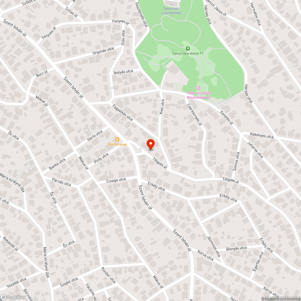 Széttört úttest és járdaszegély bejelentés helye