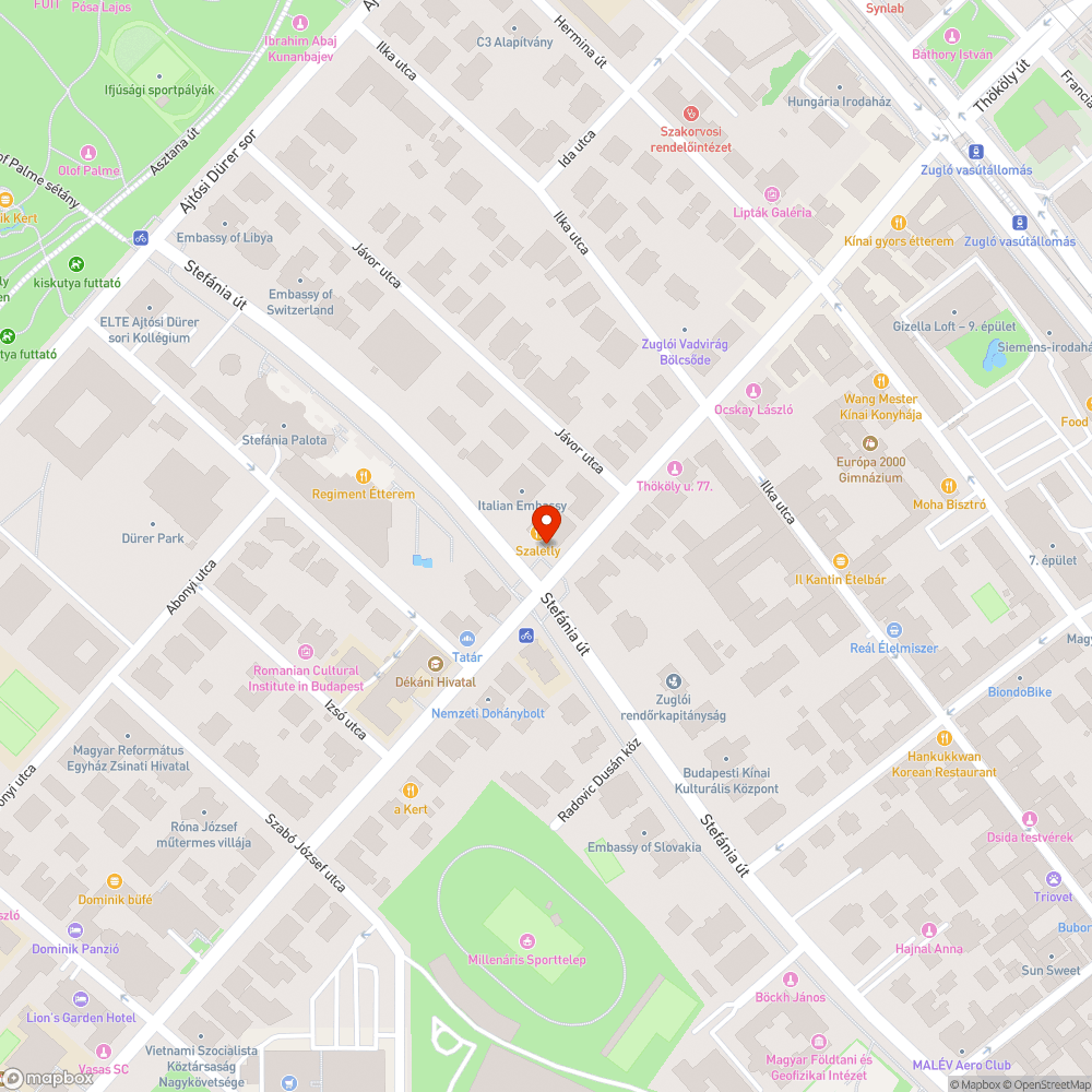 Kialakult úthibák és kátyúk okozta zaj bejelentés helye