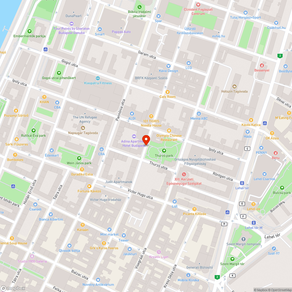 Hegedűs Gyula utcai kerékpársáv lekopott bejelentés helye