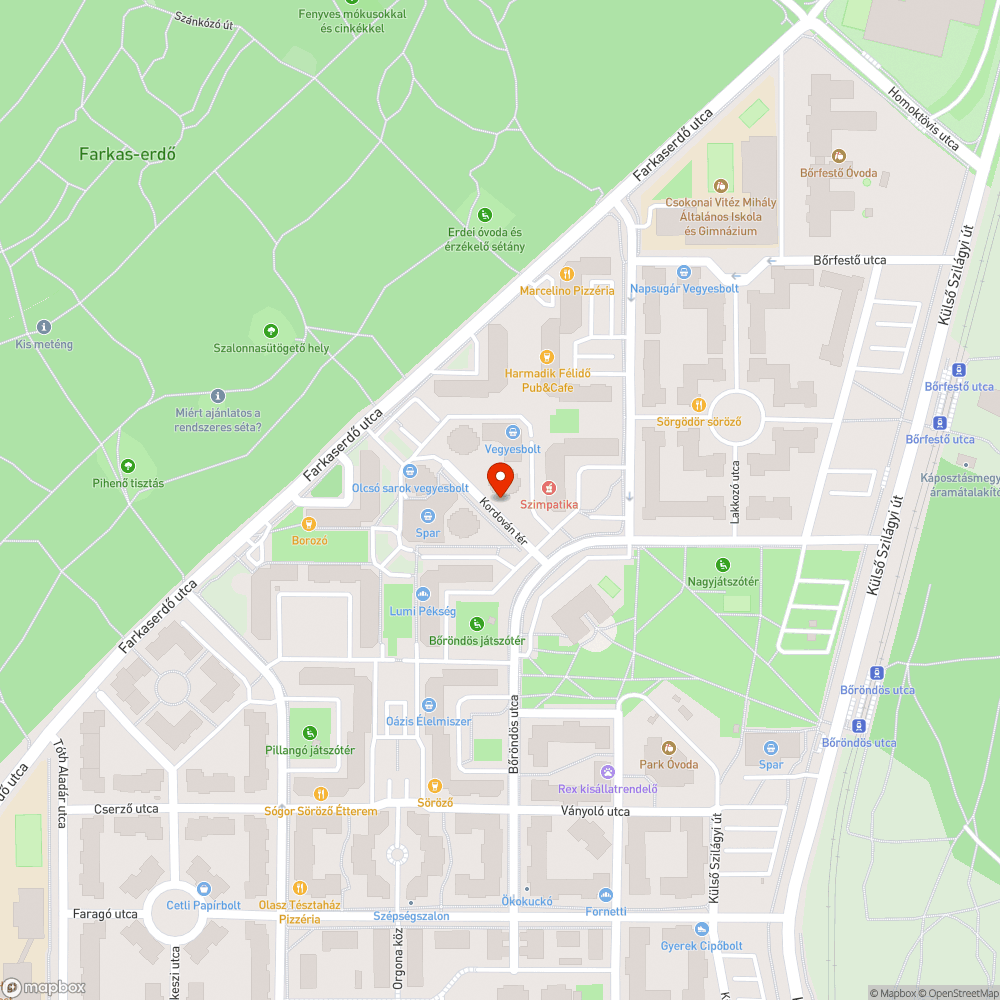 A fa benőtte a térkövet bejelentés helye