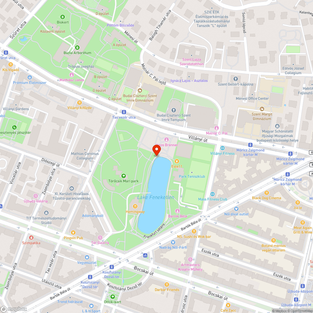 Botlásveszélyes járdaszakasz bejelentés helye