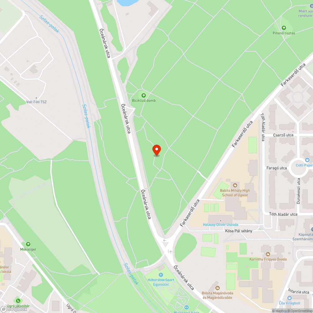 Balesetveszélyes, félig kidőlt fa bejelentés helye