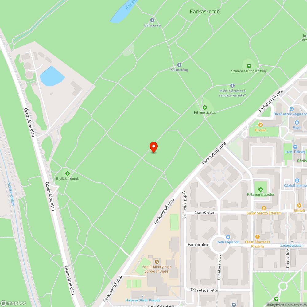 Balesetveszélyes, félig kidőlt fa bejelentés helye