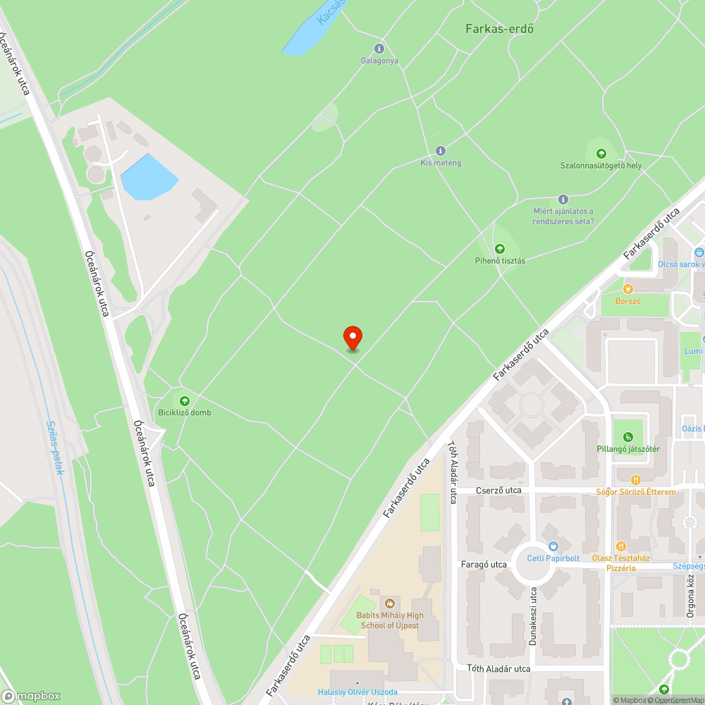 Balesetveszélyes, félig kidőlt fa bejelentés helye