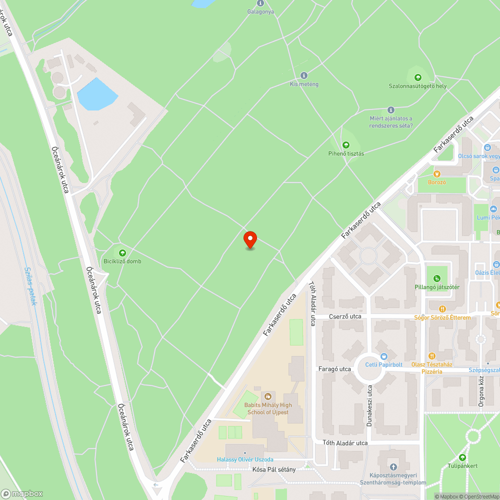 Ösvény fölött lebegő kidőlt fa bejelentés helye