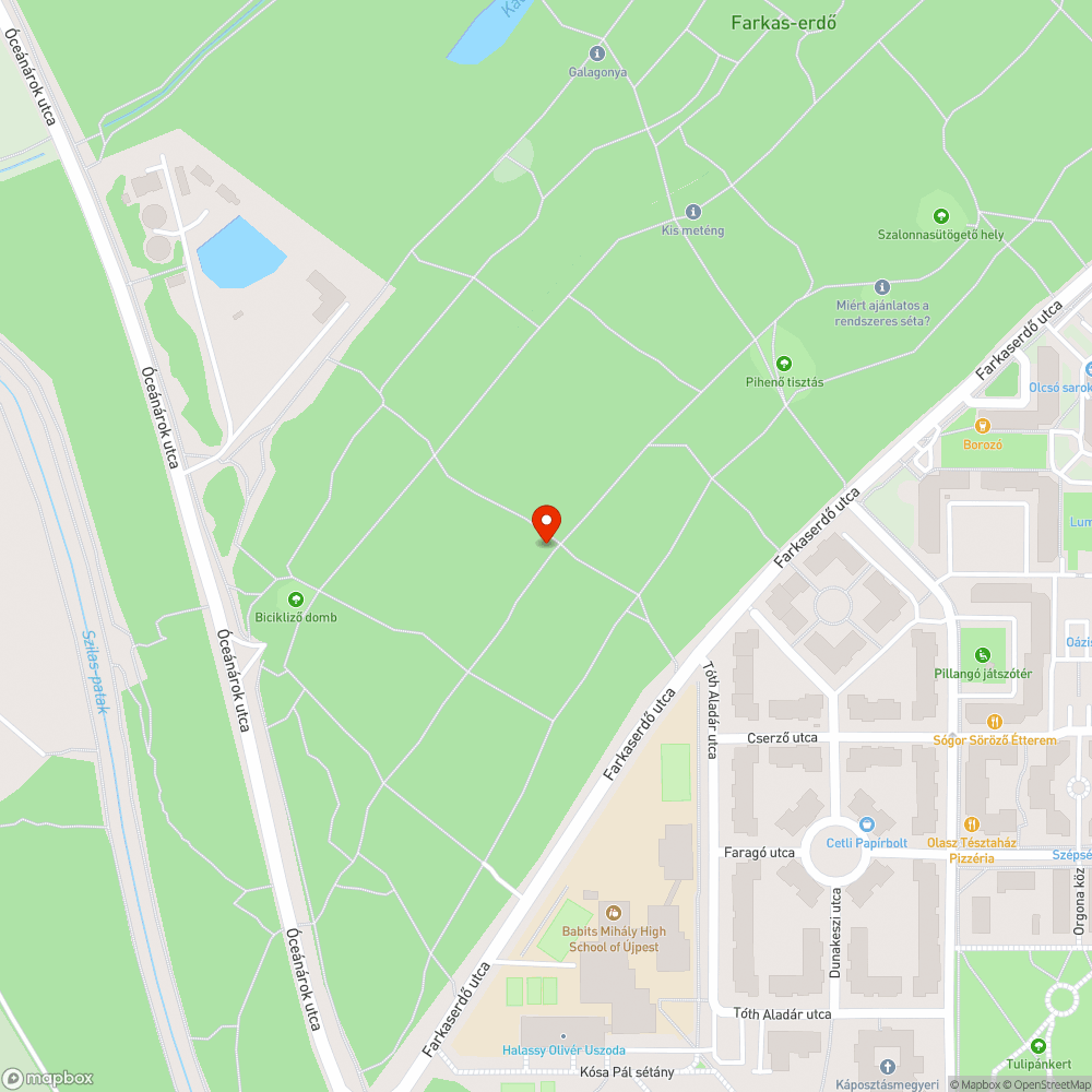 Balesetveszélyes, félig kidőlt fa bejelentés helye