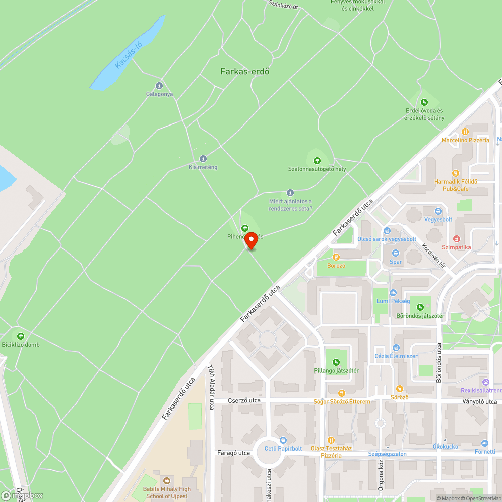 Balesetveszélyes, félig kidőlt fa bejelentés helye