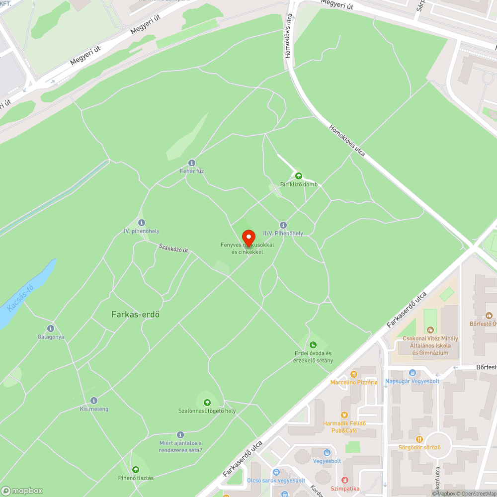 Balesetveszélyes, megdőlt fa bejelentés helye