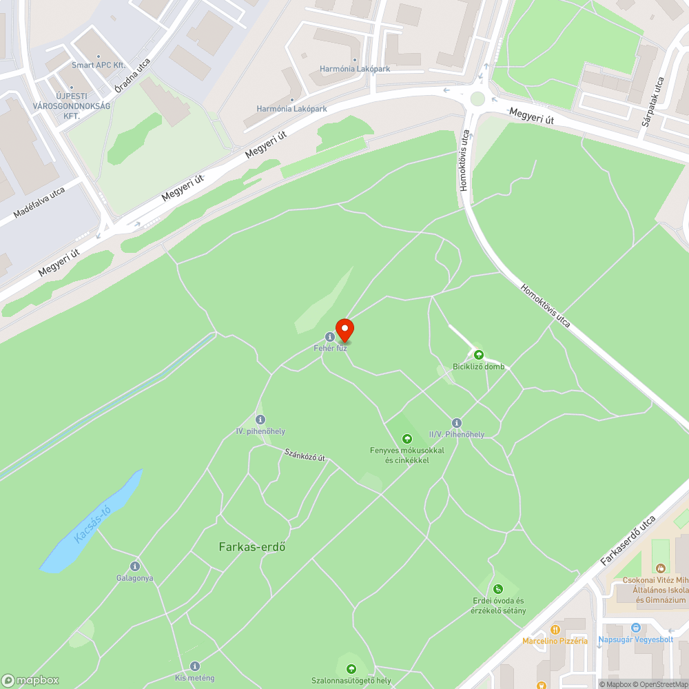 Balesetveszélyes, dőlt törzsű fa bejelentés helye