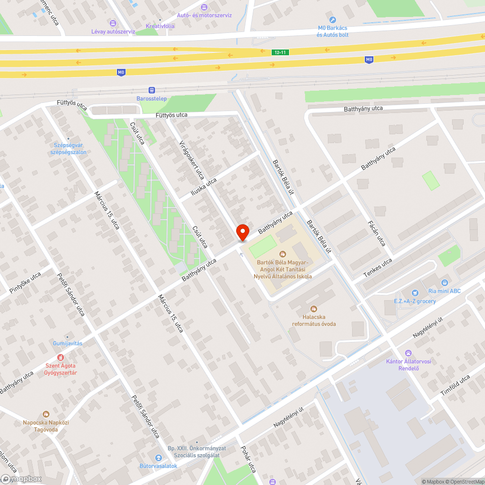 Lekopott zebra iskola mellett bejelentés helye