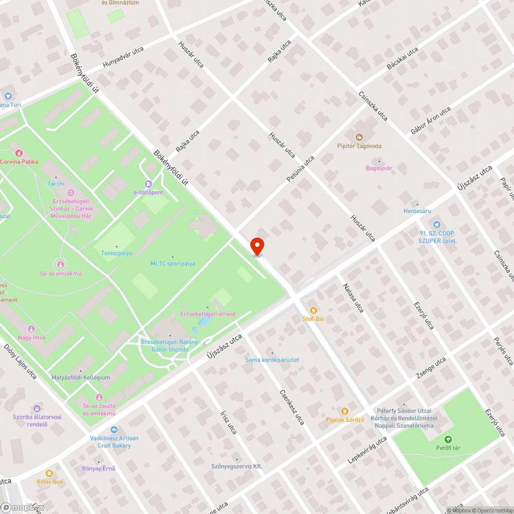 Elgázolt macska tetem a járda szélén bejelentés helye