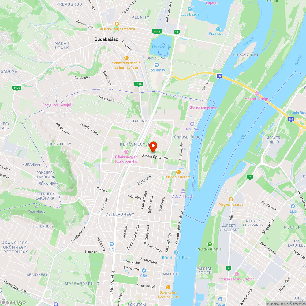 Levágott ágak itt maradtak bejelentés helye