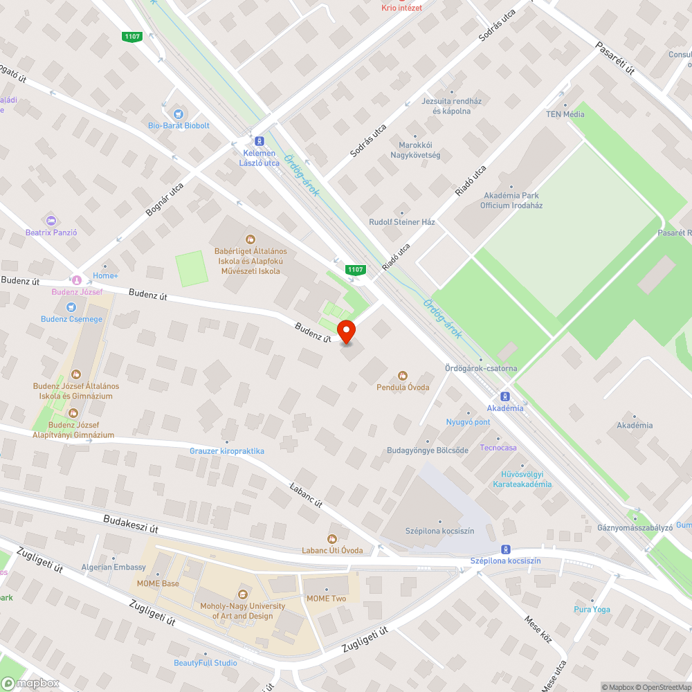 Budenz út, elszáradt fak IBS mellett! bejelentés helye