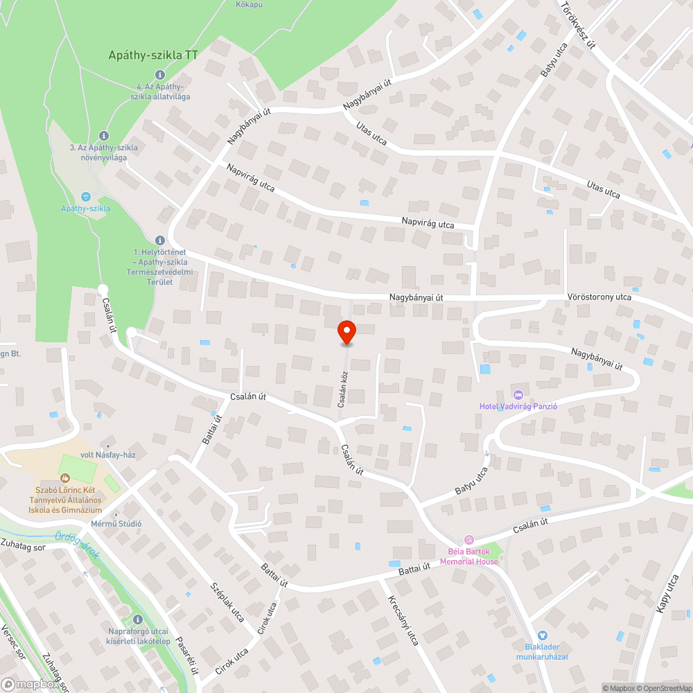 Járdára vezetett csapadék víz? bejelentés helye