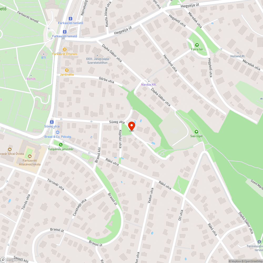 Feleslegesen aszfaltozott terület bejelentés helye